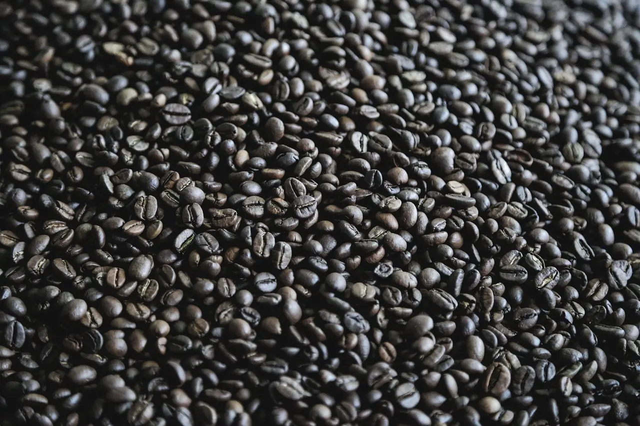 12 hyggelige caféer i Vestbyen i Aalborg