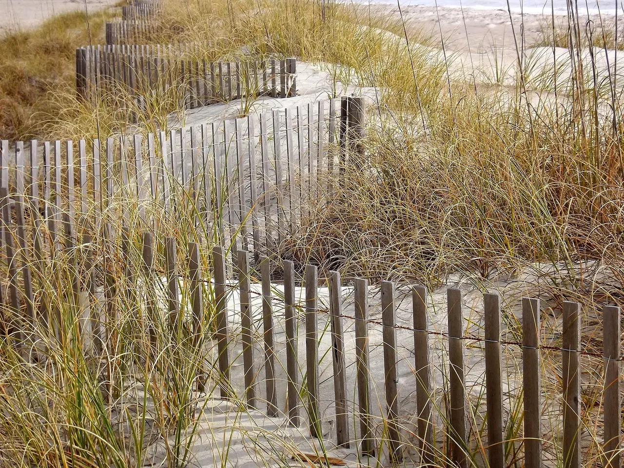 12 gratis naturattraktioner i hele Danmark