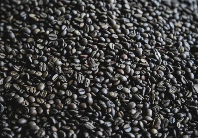 12 hyggelige caféer i Vestbyen i Aalborg