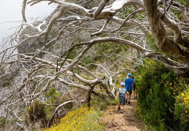 8 børnevenlige vandreruter på Langeland