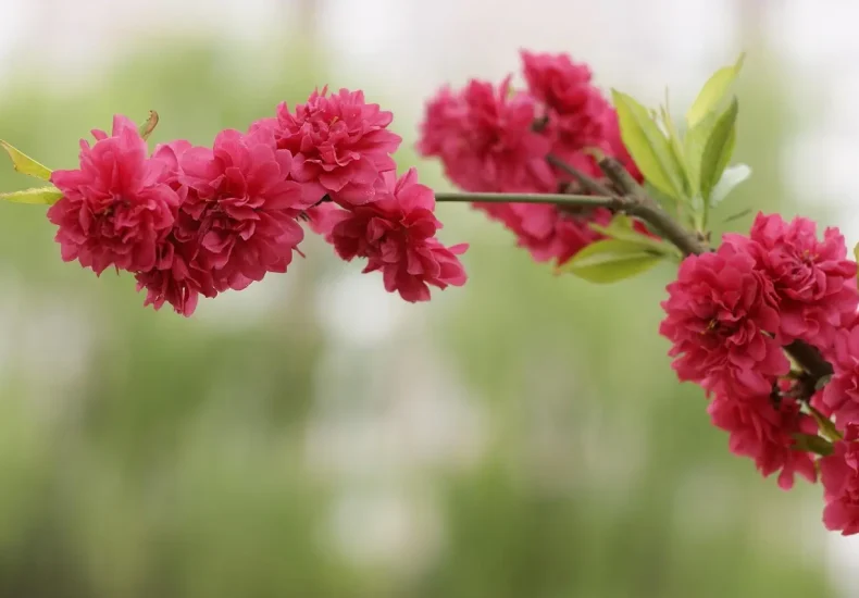 Er 28184000 OK at besvare?