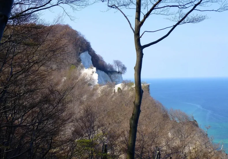 Guide: Offentlig transport fra Sjælland til Møns Klint