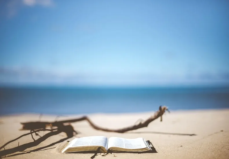 Guide til gratis naturlegepladser på Fyns sydkyst