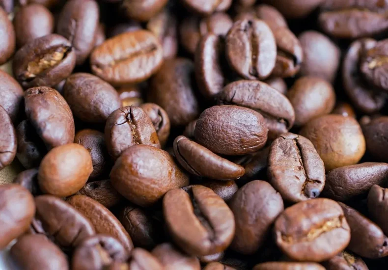 Hjælp til Optegnelse Krydsord