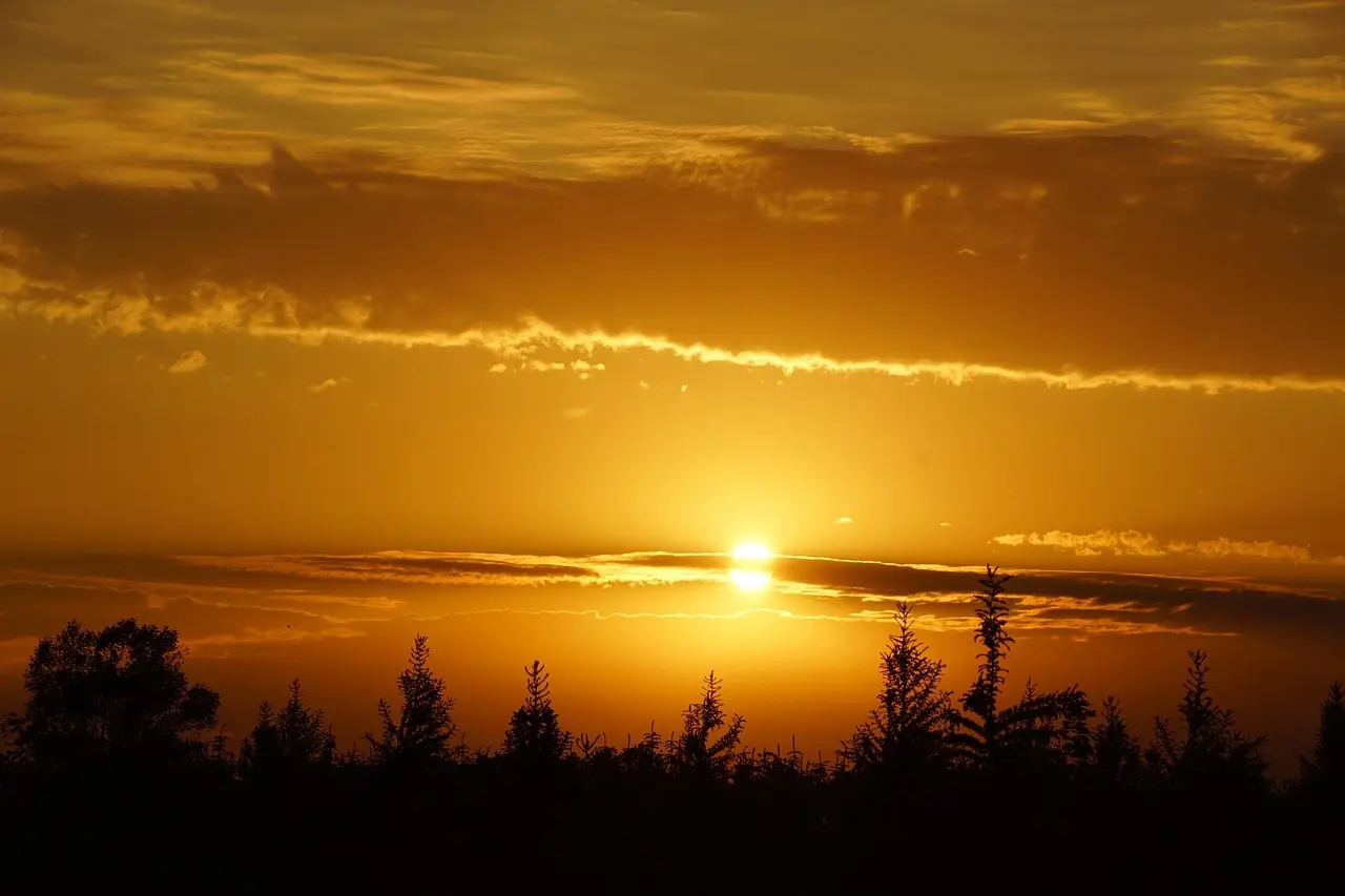 Hvor kan man parkere gratis i Odense om søndagen?