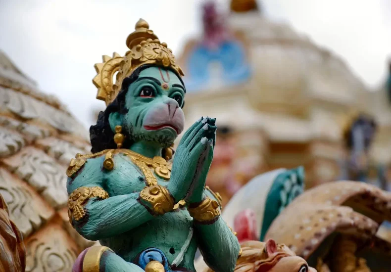 Krydsord Svar: Havjætte