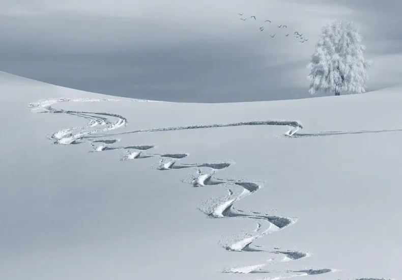 Medvirkende i Snow White And The Huntsman