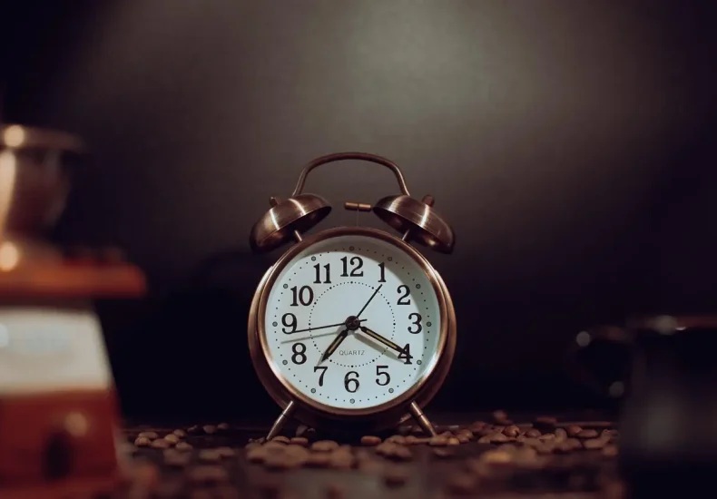 Muligheder til Snyder krydsord