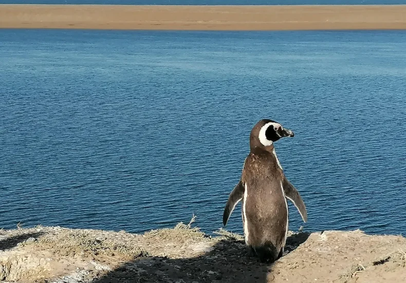 Sådan besøger du Helnæs på én dag uden bil