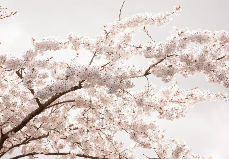 Sådan booker du et studierum på Dokk1
