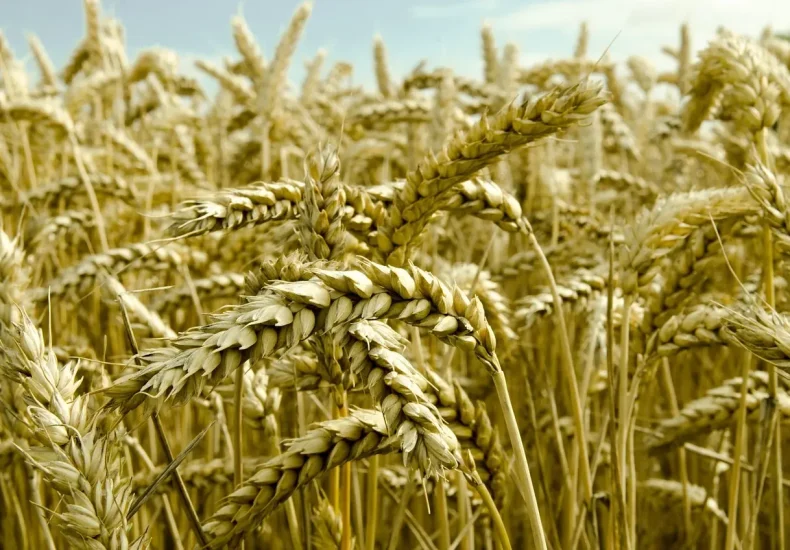 Sådan finder du de bedste fiskesteder ved Fyns Hoved