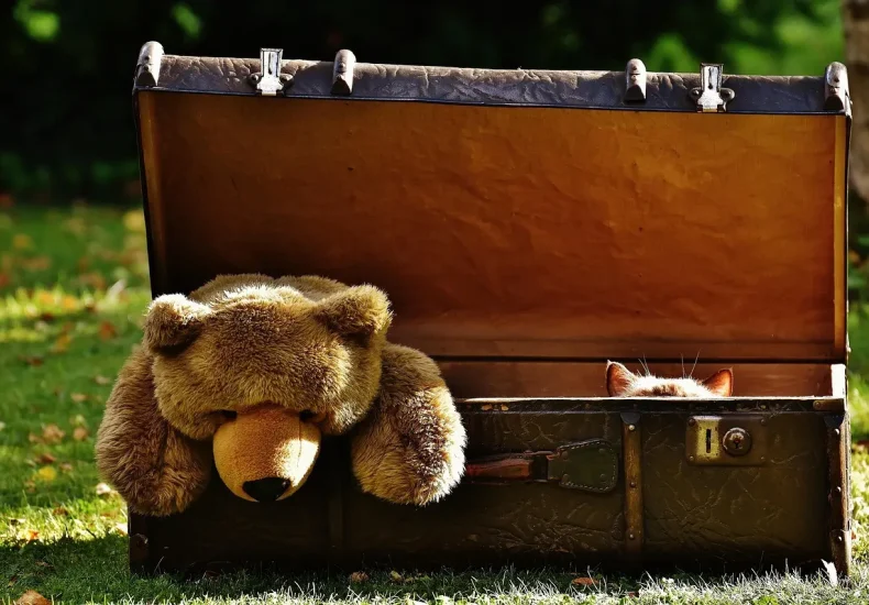 Sådan finder du skjulte vandreruter i Odsherred