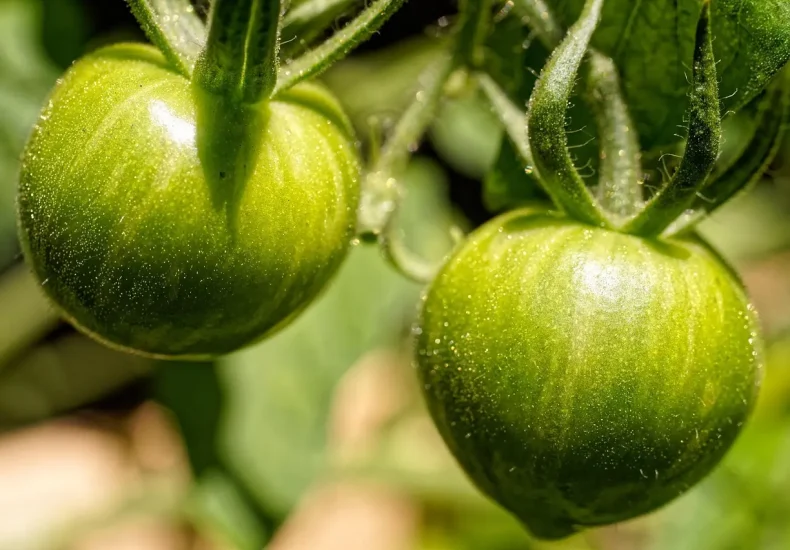 Sådan læser og forstår du din lønseddel i Danmark