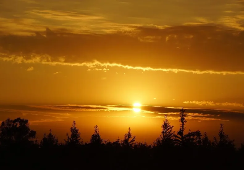 Sådan planlægger du en børnedag i Munke Mose i Odense