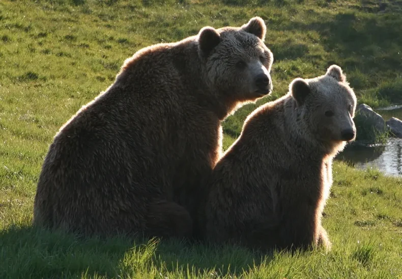 Sådan planlægger du en børnevenlig dag i Den Gamle By
