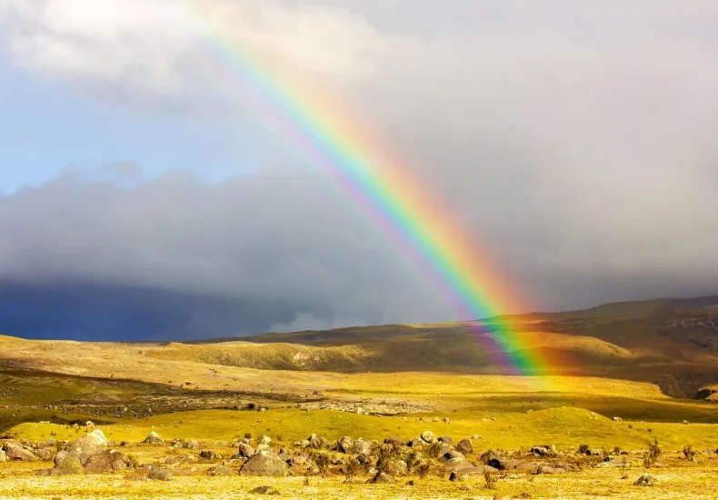 Sådan undgår du kø til regnbuen på ARoS
