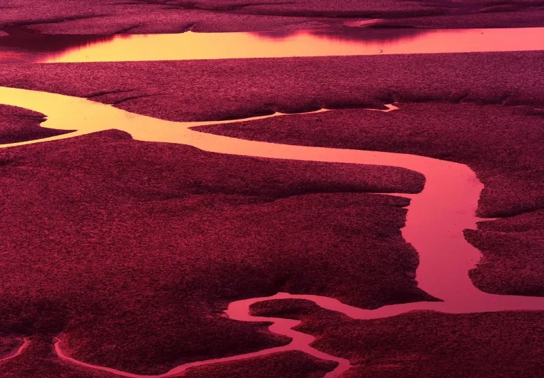 Telefonnummer 63 10 59 93: Hvem ringer?