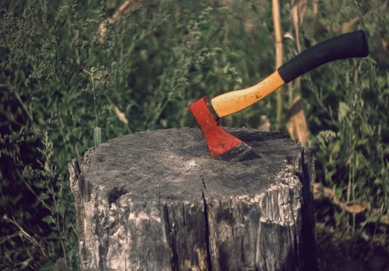 Tips til Fælde Krydsord